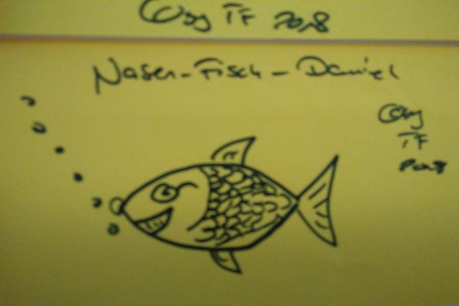 Nasen-Fisch-Daniel
