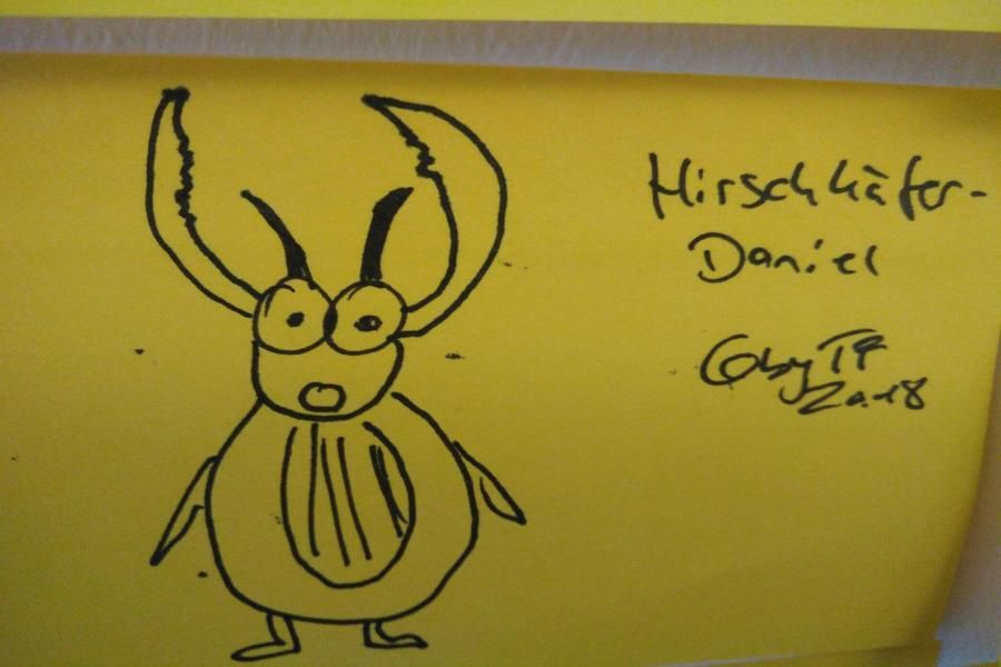 Hirschkäfer-Daniel