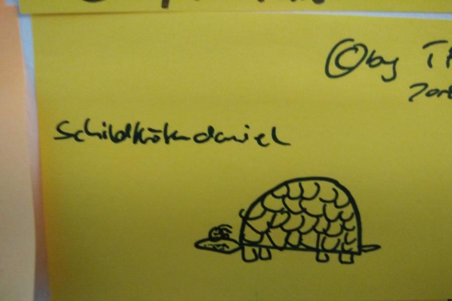 Schildkröten-Daniel
