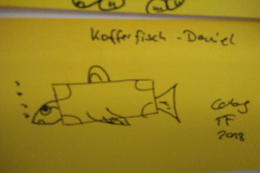 Kofferfisch-Daniel