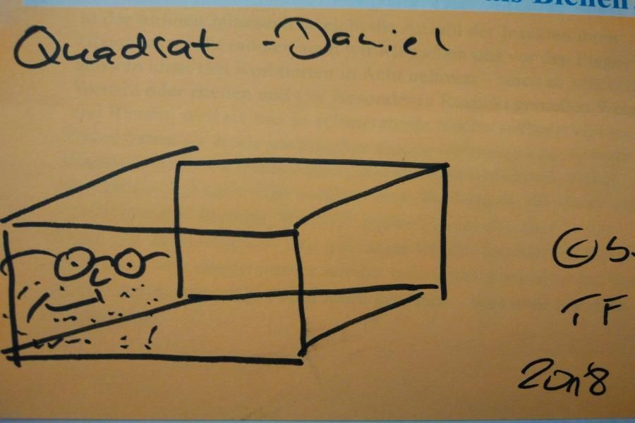 Quadrat-Daniel