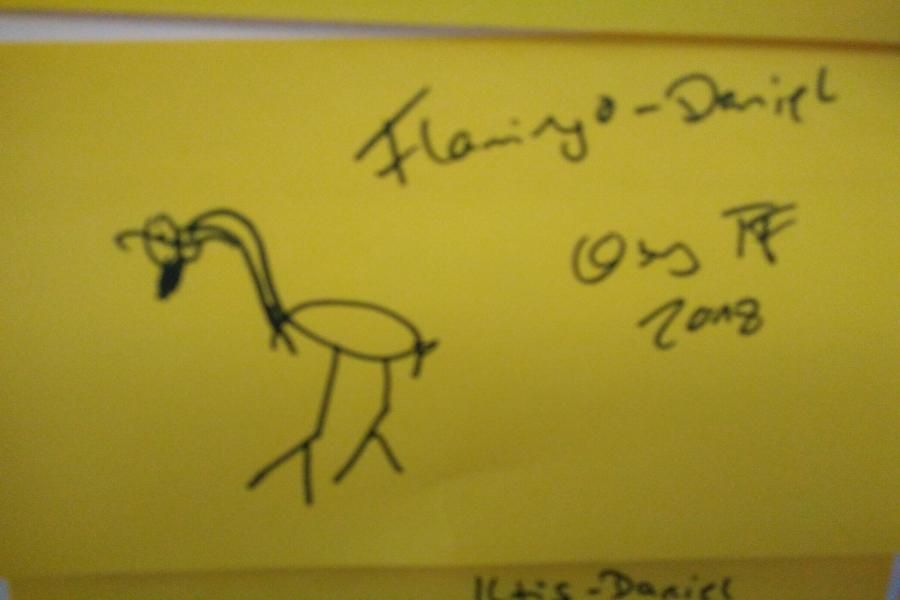 Flamingo-Daniel