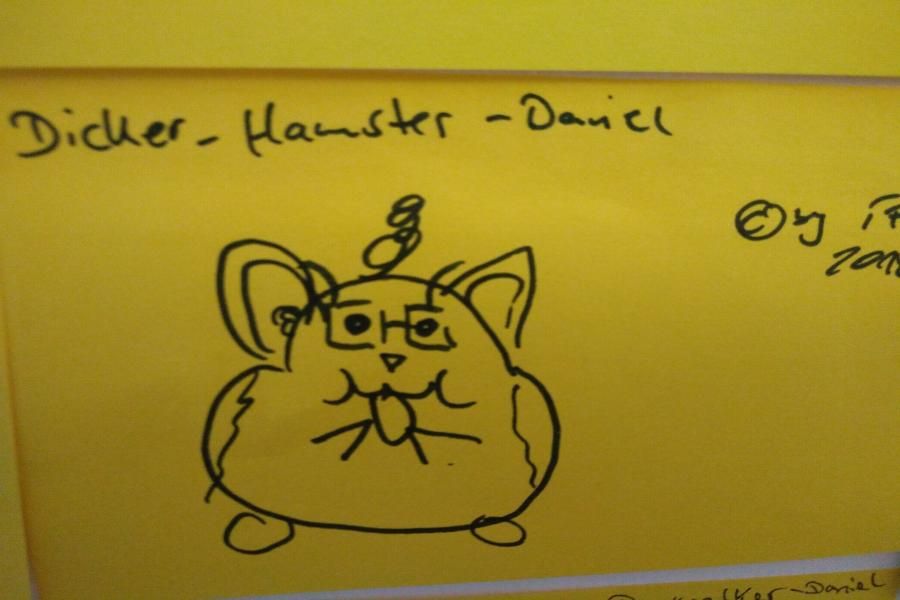 Dicker Hamster-Daniel
