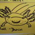Axolotl-Daniel